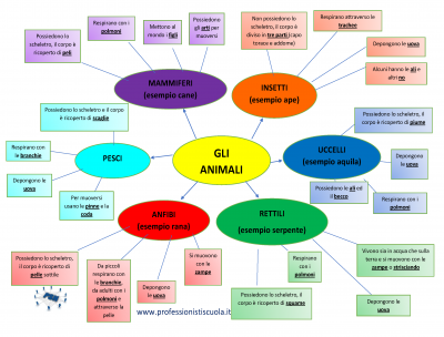 Mappa Concettuale Animali Scienze Primaria Professionisti Scuola