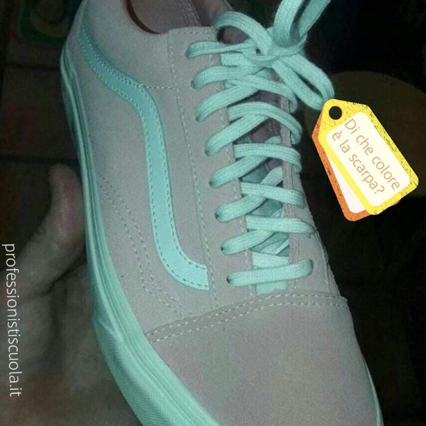 Di che colore è questa scarpa? \